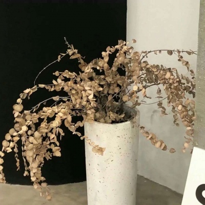 阿荣旗福瑞交流群